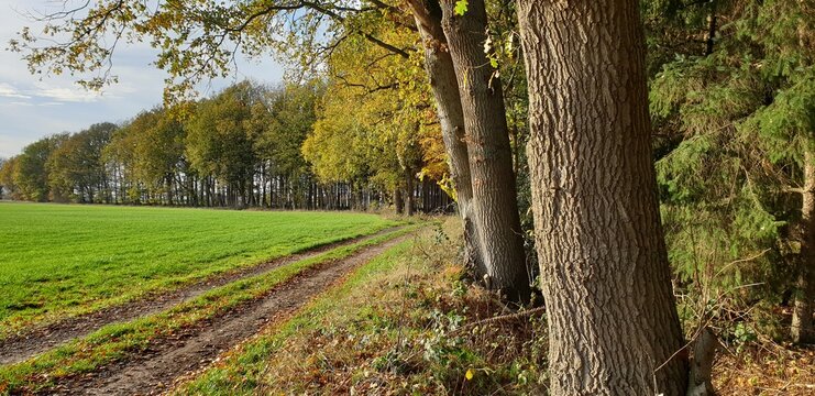 Feld und Wald hinterm Viehgraben, Landkreis Stade