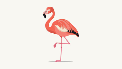 Colorful Flamingo Illustration Standing Gracefully On One Leg 