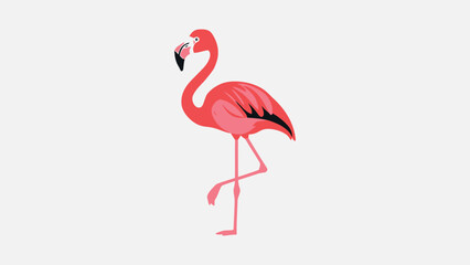 Colorful Flamingo Illustration Standing Gracefully On One Leg 