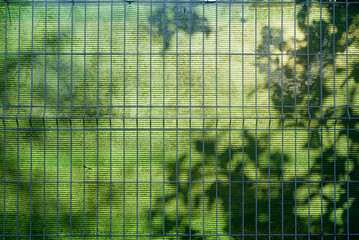 Sombras de plantas en valla de lona y alambrada