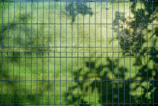 Sombras de plantas en valla de lona y alambrada
