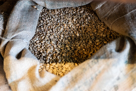 Burlap sack filled with unroasted coffee beans in warm light