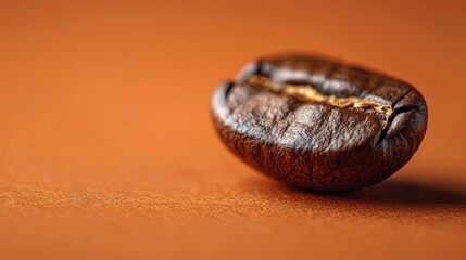 A single large coffee bean on an orange background