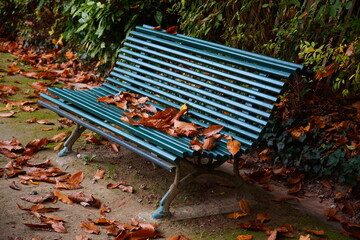 Feuilles mortes banc