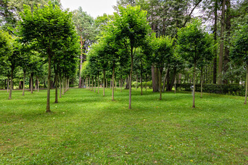 kenkons grove