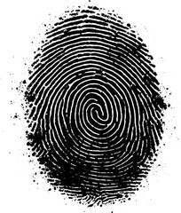 Fingerprint or thumbprint made with black ink. A close-up of a black fingerprint on a white background, emphasizes identity and security.