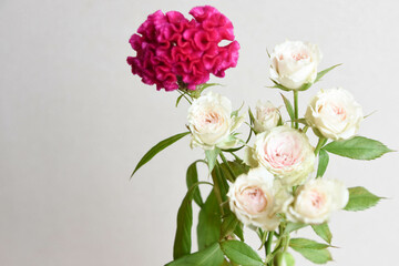 薔薇とケイトウ