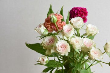 薔薇とケイトウ