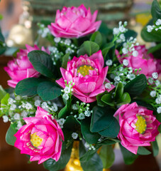 Many pink lotus flowers and green leaves