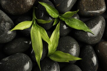 Green leaves on spa stones, top view