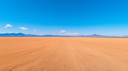 Vast Golden Wheat Field Under Clear Blue Sky with Distant Mountains