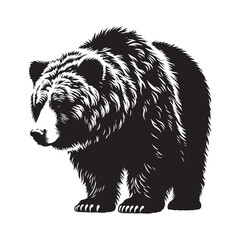 Fototapeta premium Black silhouette Grizzly Bear