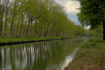 Canal with reflection of fresh green spring trees on a cloudy day near Turnhout, Flanders, Belgium 