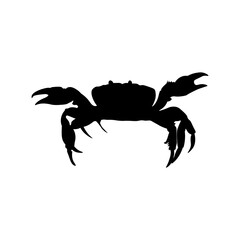 Crab 