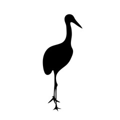 Crane Bird