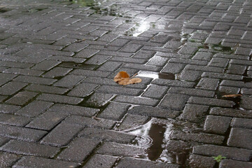 Rainwater Wetting the Surface of Parking Lot Paving