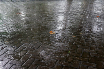 Rainwater Wetting the Surface of Parking Lot Paving