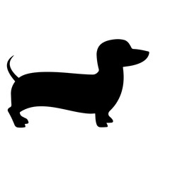 Dachshund Puppy Illustration
