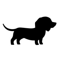 Dachshund Puppy Illustration
