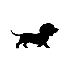 Dachshund Puppy Illustration
