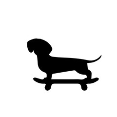 Dachshund Puppy Illustration
