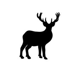 Deer Animal Illustration
