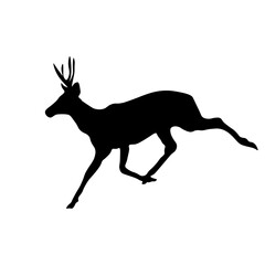 Deer Animal Illustration
