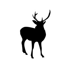 Deer Animal Illustration
