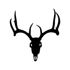 Deer Head Skull Illustration
