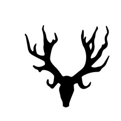 Deer Head Skull Illustration
