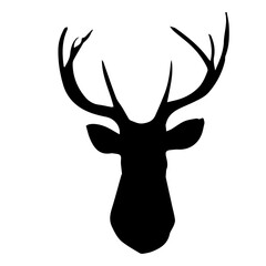 Deer Head Illustration
