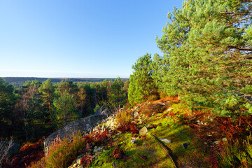 La Bombarde point of view in Fontainebleau forest