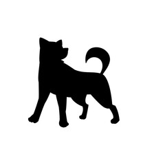 Dog Animal Illustration