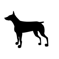 Dog Animal Illustration