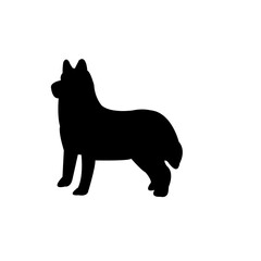 Dog Animal Illustration