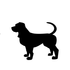 Dog Animal Illustration