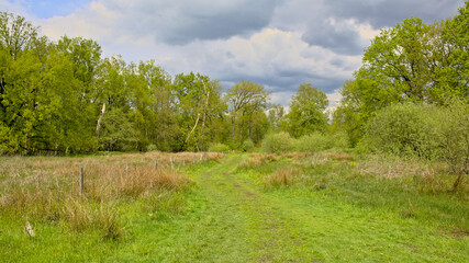 Meadow and forest under a dark cloudy sky near Turnhout, Flanders, Belgium 