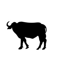 Cow Animal Illustration
