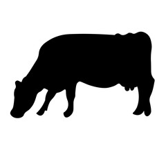 Cow Animal Illustration
