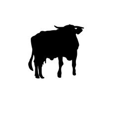 Cow Animal Illustration
