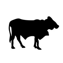 Cow Animal Illustration
