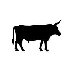 Cow Animal Illustration
