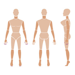 Full length front, back, side view of a lean bald standing naked woman silhouette, isolated on white background. Vector illustration. 