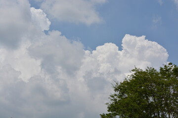 Obraz premium White clouds and blue sky