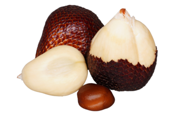 Different shapes of snake fruit isolated transparent