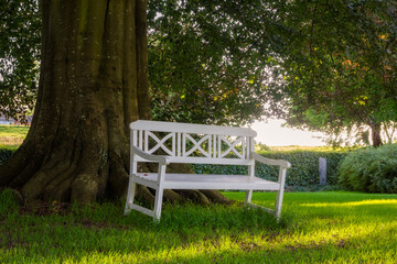 a dreamy garden in sunset with an white bench under a big deciduous tree in Bert, Denmark