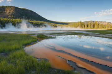 Obraz premium Scenic view of a geothermal hot spring with vibrant orange bacterial mats and rising steam, surrounded by lush green grass and forested mountains under a clear blue sky.
