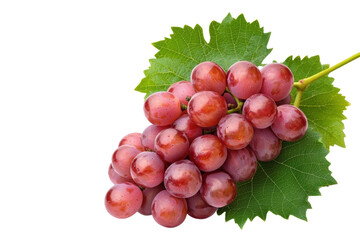 Fototapeta premium A bunch of red grapes with leaves on a transparent background, PNG clipart cutout.