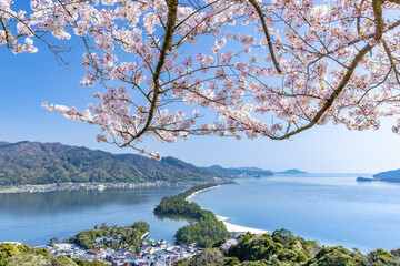 春の天橋立