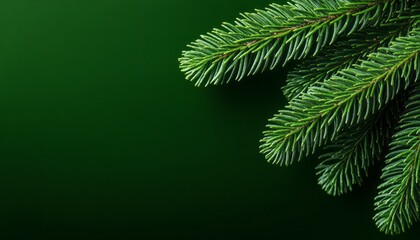 Lush evergreen branches create a vibrant texture against a rich green background